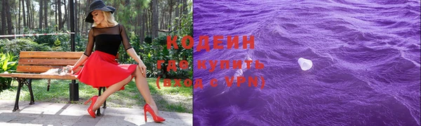 молекула духа Медвежьегорск