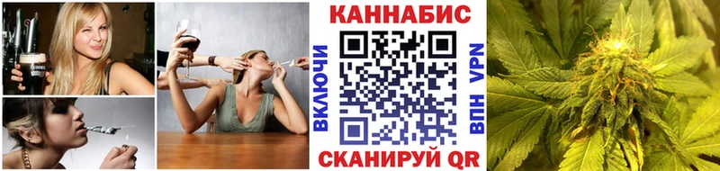 где купить наркоту  Котельниково  Бошки марихуана план 